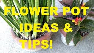 HOW TO CHOOSE THE BEST FLOWER POT  CONTAINER GARDENING TIPS