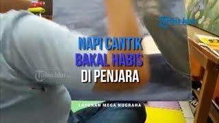 Napi Cantik Kulit Putih Bakal Habis di Penjara Dikerjai Senior Termasuk Dikerjai Soal Seks