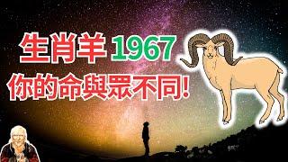 1967年的屬羊人，2024年運勢，你真想不到！這是屬於你自己的運程，快看你的與眾不同！ #2024年生肖羊運勢 #2024生肖羊運程 #生肖羊的壽命 #屬羊人2024年運程 #屬羊人2024年運勢