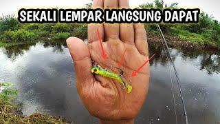 Umpan Paling Ampuh Untuk Casting Ikan Bulan  Mancing Ikan Bulan