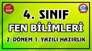 4. Sınıf Fen Bilimleri 2. Dönem 1. Yazılı Hazırlık   Canlı Ve Ayrıntılı Anlatım