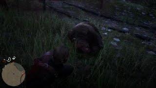 RDR2 - Bears SUUUUCK