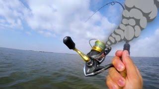 gang of giant redfish smoke tiny 1000 reel