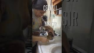 EV YAPIMI ETSİZ CEVİZLİ ÇİĞKÖFTE