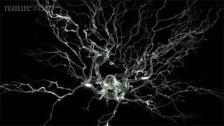Method of the Year 2010 Optogenetics - by Nature Video