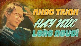 46 Siêu Phẩm Nhạc Trịnh Công Sơn HAY NỨC LÒNG NGƯỜI - Nhạc Trịnh Hay Nhất Mọi Thời Đại