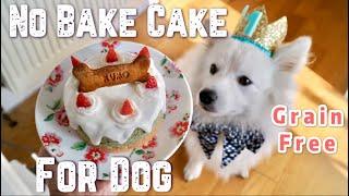Dog treat recipe - Grain free no bake cake