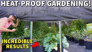 Protect Your Garden From HEAT Install Shade Cloth NOW