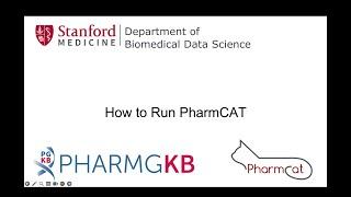 How to Run PharmCAT