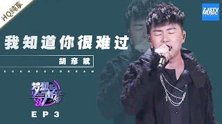  纯享 胡彦斌《我知道你很难过》《梦想的声音3》EP3 20181109 浙江卫视官方音乐HD