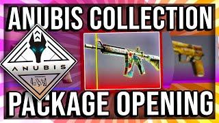 ANUBIS COLLECTION PACKAGE OPENING NEW CSGO CASE