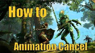 Different Kinds of Animation Cancels and How to do Them For Beginners