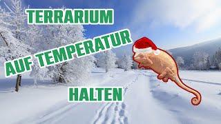 TERRARIUM im WINTER WARM halten  Chamäleon Basics