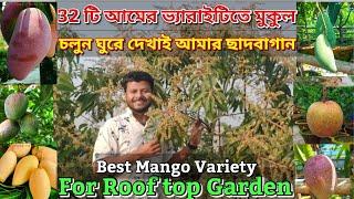 32টি প্রজাতির আম গাছ মুকুলে পরিপূর্ণ। চলুন ঘুরে দেখাই আমার ছাদবাগান।Mango plants On my Roof Garden।