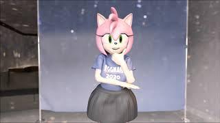 Amy Rose OK Boomer animation