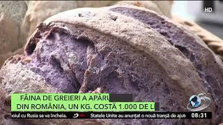 Făina de greieri a apărut în România  Care este preţul unui kilogram