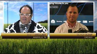 Livestock Markets Ahead of Cattle On Feed  Oliver Sloup on RFD-TV #Livestock
