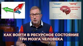 РЕСУРСНОЕ СОСТОЯНИЕ  Как мозг принимает решения  Три мозга человека