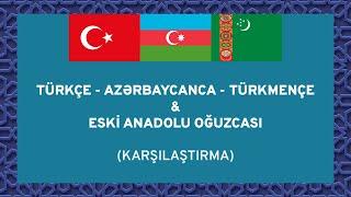 Eski Anadolu Türkçesi ile Günümüz Oğuz Dilleri Ne Kadar Benziyor? #türkçe #azerbaycanca #türkmence