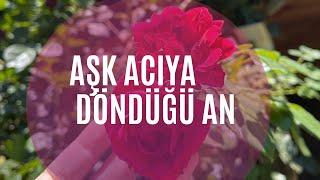 Aşkın acıya döndüğü an