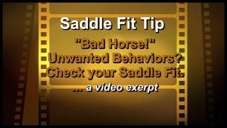 Bad Horse Unwanted Behaviors? Check your Saddle Fit - Jochen Schleese