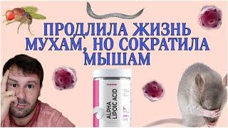 α-Липоевая кислота не продлит жизнь  И опасна при раке?