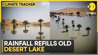 Water Gushes Through Sand Of Sahara  WION Climate Tracker  World News