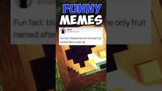 Hilarious Memes