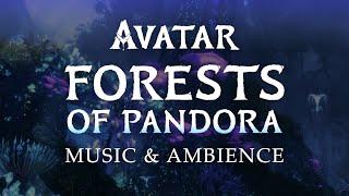 Avatar  Forests of Pandora Music & Ambience in 4K with ASMR Weekly