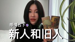 新人和旧人【无限时感情占卜】