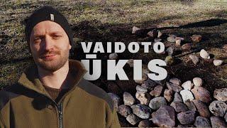 VAIDOTO ŪKIS - AKMENINIS TAKELIS IR DIRVA  25