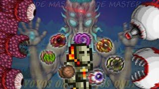 Can You Beat MASTER MODE Terraria With ONLY YO-YOS?