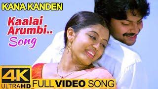 Tamil Hits  Kaalai Arumbi Video Song 4K  Kana Kanden Movie Songs  Srikanth  Gopika  Vidyasagar