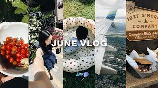 JUNE VLOG｜小菜园的收获 提前吃生日蛋糕啦炎炎夏日玩水日常开启波特兰旅行️