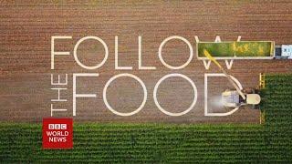 BBC World News - Follow The Food Promo 2019