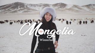 겨울 몽골 여행 Ep1.개썰매타다가 선로이탈. 썰매 개가 길가던 소 공격. +모든 여행객에게 실제 양을 선물로?