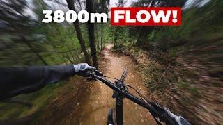 BESTER FLOWTRAIL in Tirol? GEHEIMTIPP in Fieberbrunn