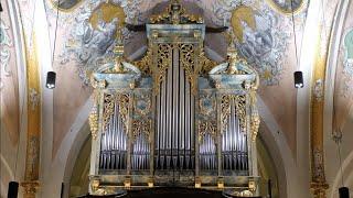 Orgelmusik in der Adventszeit 09.12.2023 Bach Bruhns Schmidt  Stadtpfarrkirche Hall in Tirol