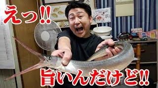 嫌われ者の魚【ダツ】のうまい食べ方をご紹介！市場で評価が低い魚を救いたい！