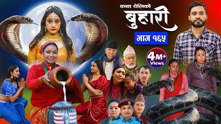 बुहारी भाग-१६५ Buhari Episode-165  कथा चेलीकाे  Nepali Sentimental Serial  1st Mar 2024