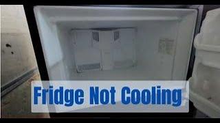 Frigidaire fridge not working not cooling easy fix.  Josh Cobb