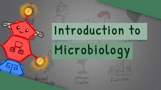 Introduction To Microbiology