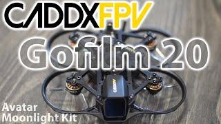 маленький дрон с БОЛЬШИМИ возможностями  CADDXFPV Gofilm 20  4K Cinewhoop