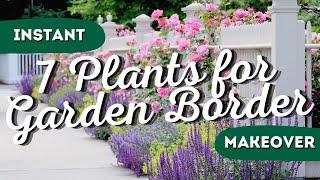 Drab to Fab The 7 Best Garden Border Plants for Instant Wow Factor 