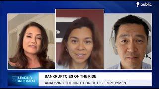 Why the Feds Rate Cut Forecast Could be Wrong  Joseph Wang & Danielle DiMartino Booth — Public App