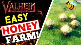 Valheim Honey Farm Tutorial - How To Farm Honey