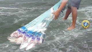 Look  ... the best videos of great fishing done by fishermen