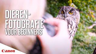Dierenfotografie voor beginners in 5 stappen  Canon Nederland