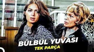 Bülbül Yuvası  Türkan Şoray Eski Türk Filmi Full İzle