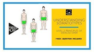 Understanding Somatotypes Level 2 Principles Revision